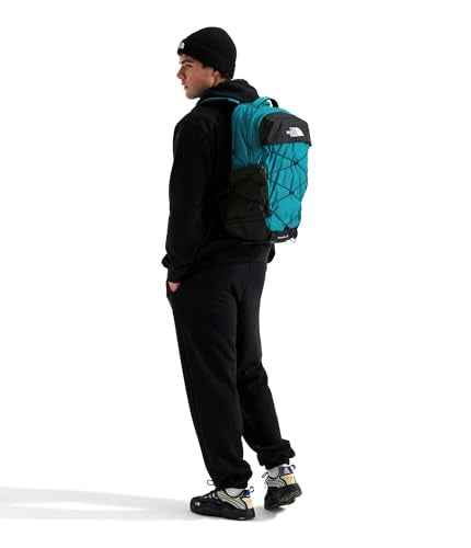 Borealis Laptop Pack