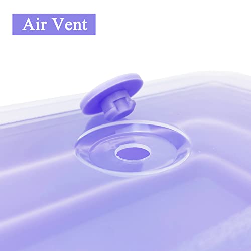 Purple Collapsible Sandwich Container
