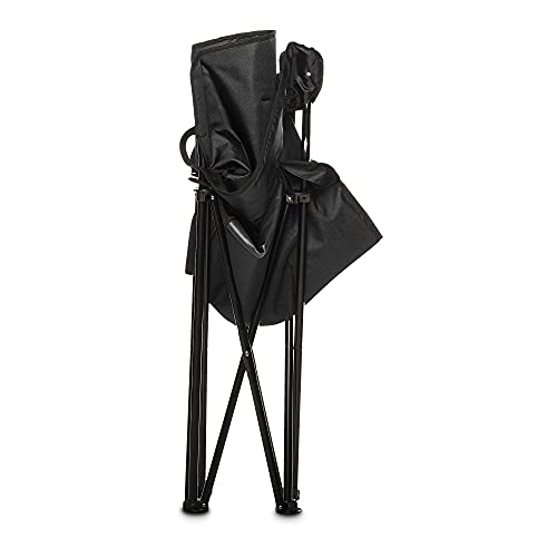 Portable Camping Chair with 4