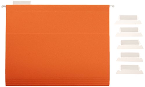 Hanging File Folders with Adjustable Tabs (25 Count)