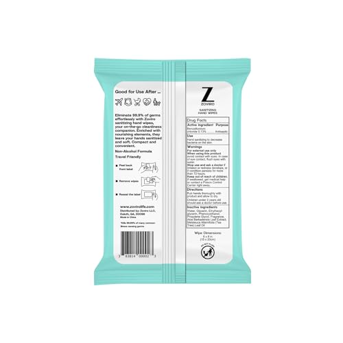 Hand Sanitizer Wipes (200 Count)
