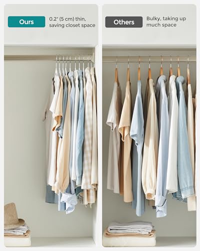 Plastic Clothes Hangers (30 Count)