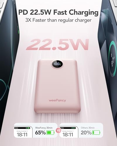 Mini Portable Charger with Built