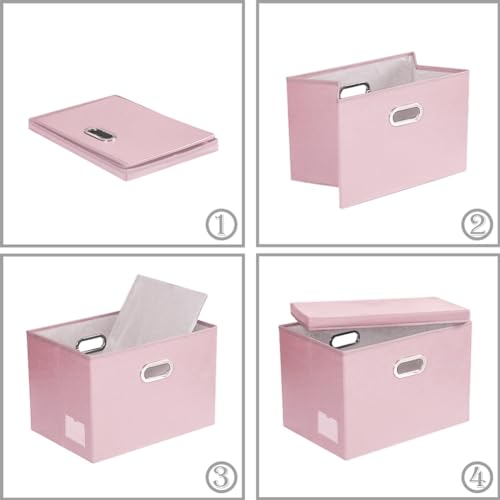 Foldable Storage Bins with Lids [5 (5 Count)