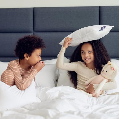Microgel Travel Pillow