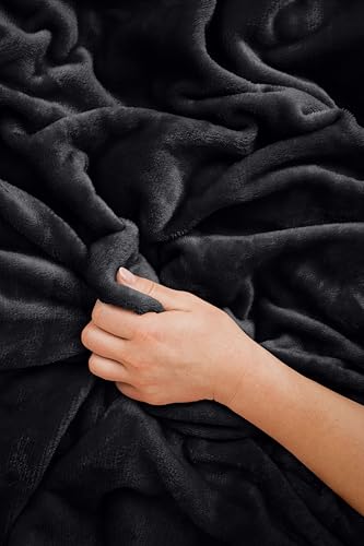 Travel Blanket and Pillow