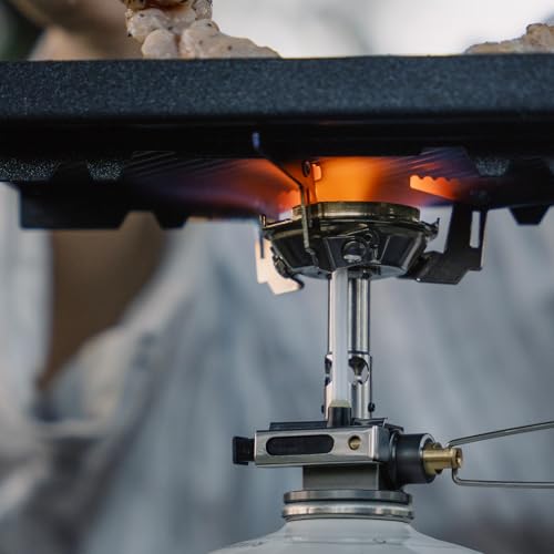 Greenpeak 2 Camping Stove with Regulator Portable Gas Stoves