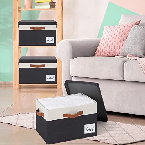 Large Storage Bins with Lids
