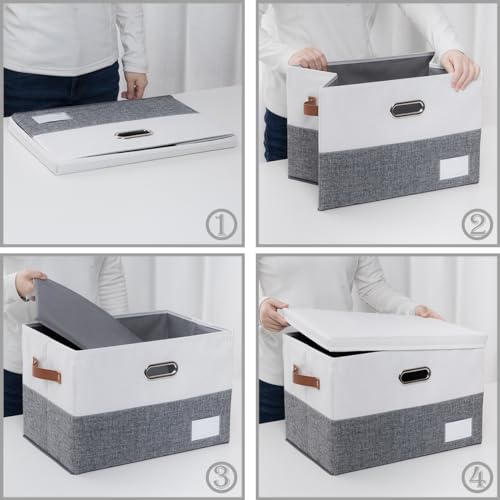 Foldable Storage Bins with Lids [3 (3 Count)