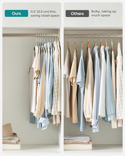 Plastic Clothes Hangers (60 Count)