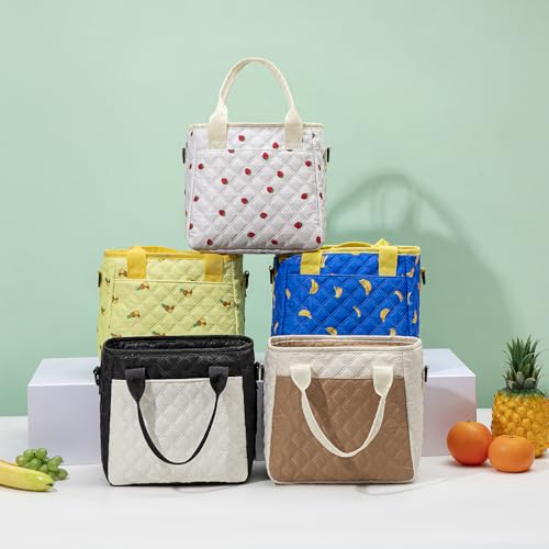 Lunch Box for Women Lunch Bags for Work for Teacher Nurse Mom Small Insulated LunchBag for Picnic Travel Shopping