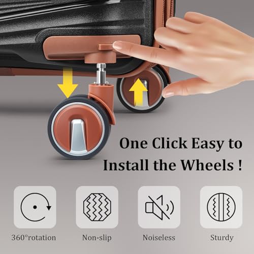 Expandable Carry (4 Count)
