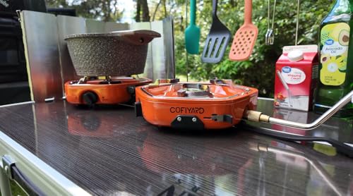 Propane 2 Burner Camping Stove with Carrying Bag