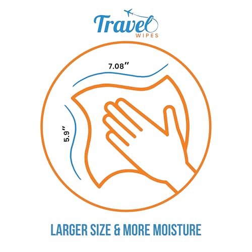 Hand Sanitizing Travel Wipes (15 Count)