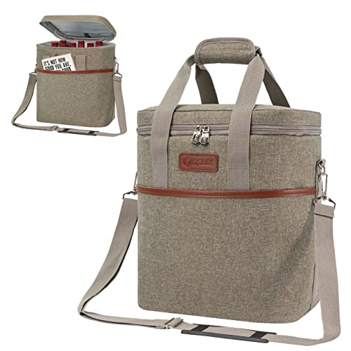 Insulated Wine Cooler Bag
