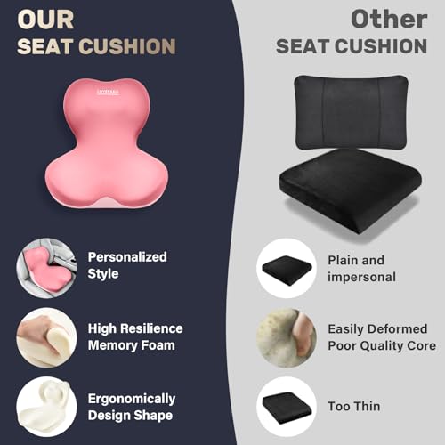 Car Seat Cushion and Lumbar Support Pillow One Piece