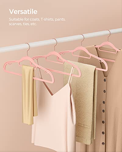 Pack of 50 Coat Hangers (50 Count)