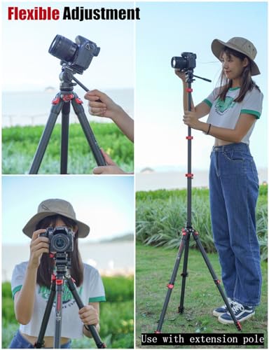 Gazelle TC3B+Komodo K3 Carbon Camera Tripod with Fluid Head