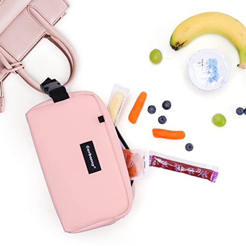 Small Cooler Bag