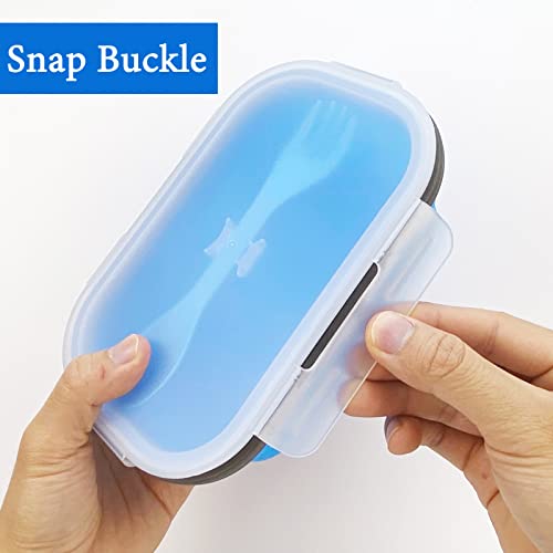 Collapsible Lunch Box Containers