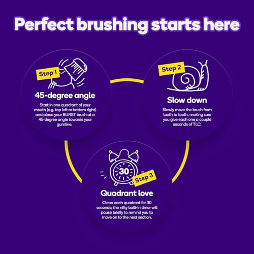 Original Sonic Electric Toothbrush for Adults