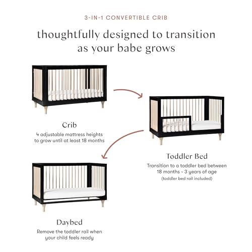 Lolly 3-in-1 Convertible Baby Crib, Black and Washed Natural