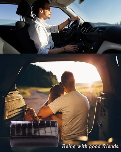 2 Watch Travel Case