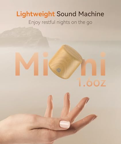 Portable Sound Machine