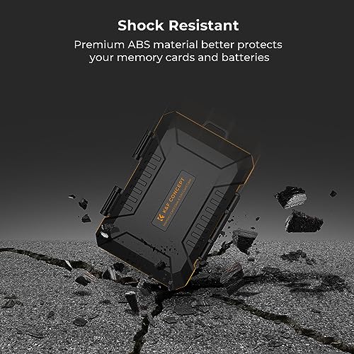 29 Slot Memory Card Case