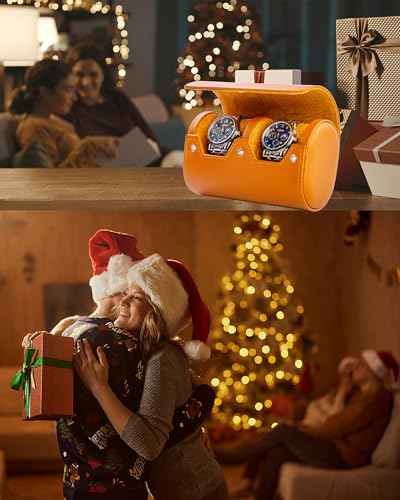 2 Watch Travel Case