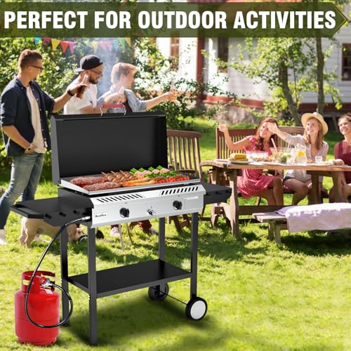2 Burner Outdoor Propane Gas Stove with Auto Ignition & Regulator