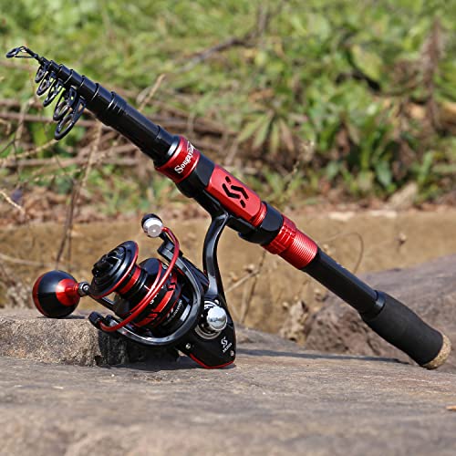 Fishing Rod and Reel Combo Set with Telescopic Fishing Pole Fishing Accessories and Carrier Bag for Saltwater Freshwater