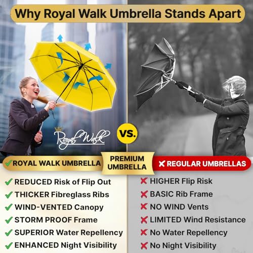 Compact Travel Umbrella for Rain