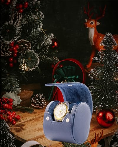 Single Watch Travel Case
