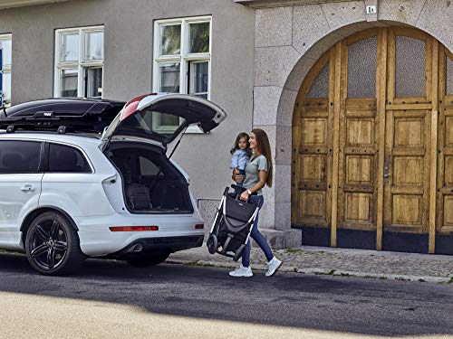 Spring Stroller