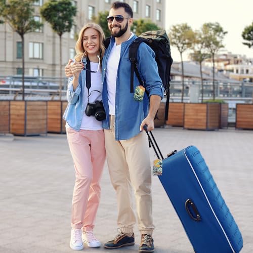 2 Pack Luggage Tag for Suitcase (2 Count)