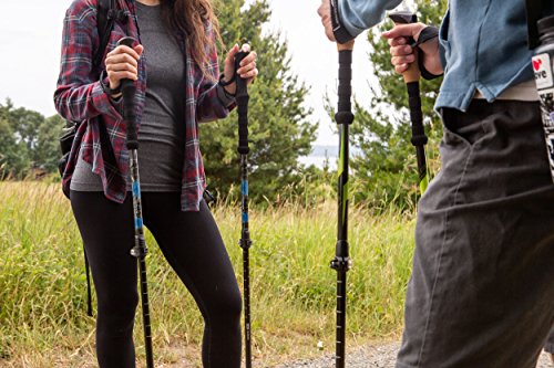 Trekking Poles