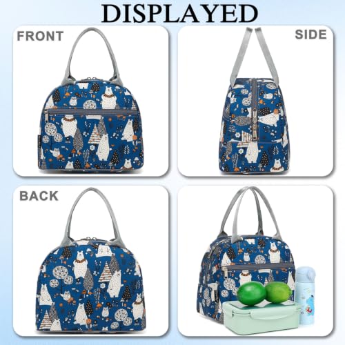 Insulated Lunch Cooler Bag