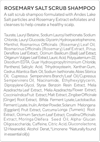 Rosemary Salt Scrub Shampoo (10.5 Fl Oz)