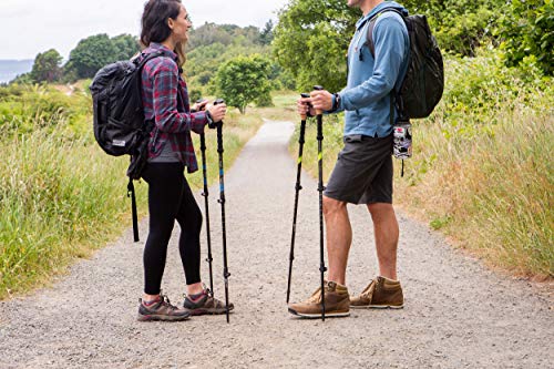 Trekking Poles