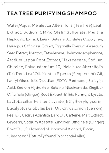 Purifying Tea Tree Shampoo for Men & Women (13.53 Fl Oz)