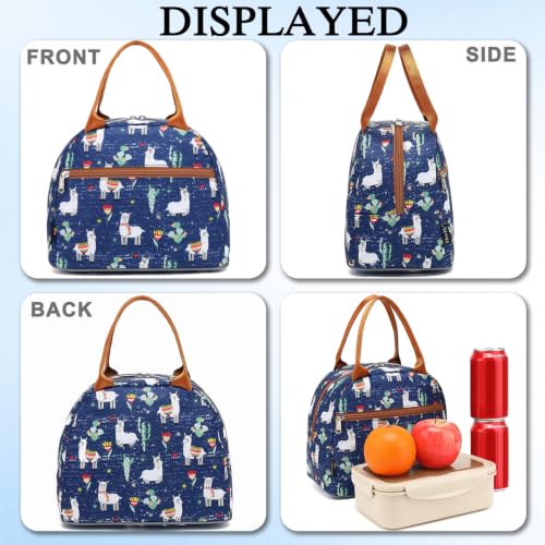 Insulated Lunch Cooler Bag