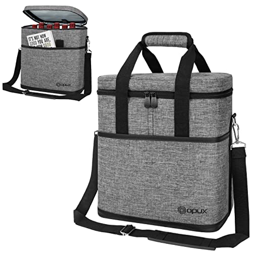 Insulated Wine Cooler Bag