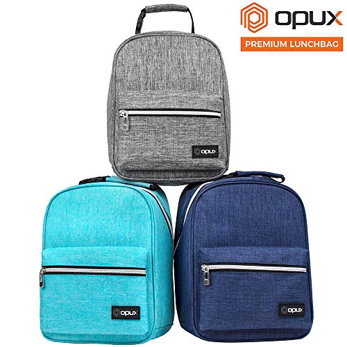 Insulated Lunch Box for Kids and Adults