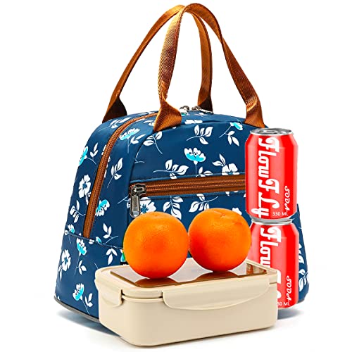 Insulated Lunch Cooler Bag