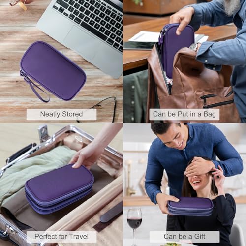 Electronic Organizer