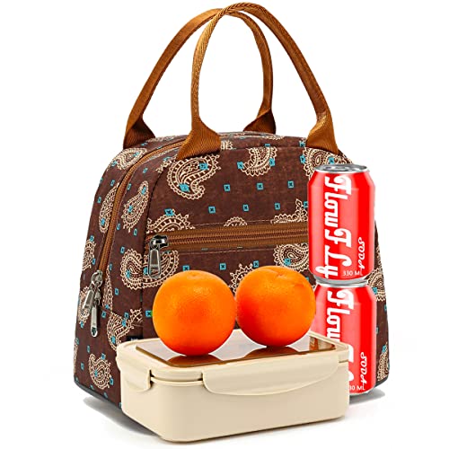 Insulated Lunch Cooler Bag