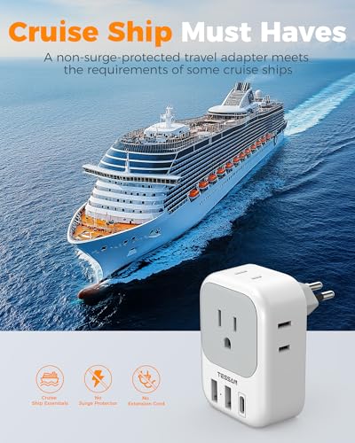 Brazil Plug Adapter 2 Pack (2 Count)