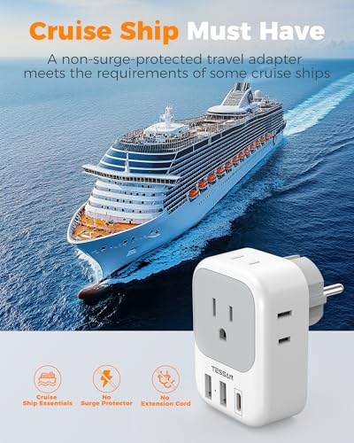 2 Pack Type E F Plug Adapter (2 Count)