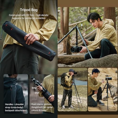 FALCAM TreeRoot F38 Quick Lock Lite Carbon Fiber Tripod with Ball Head